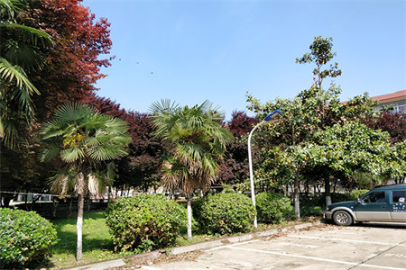 明湖附近世尊华府精装2室2厅1卫50万86m2出售